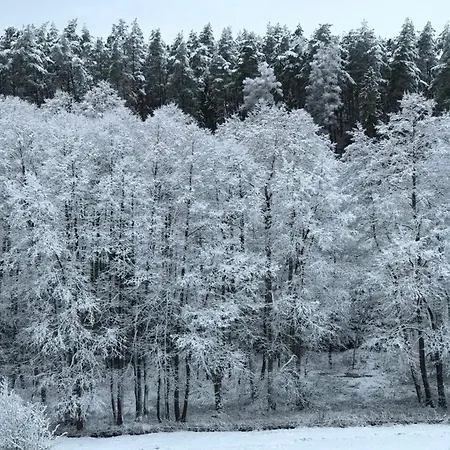 Villa Na Skraju Gaju Purda Esterno foto