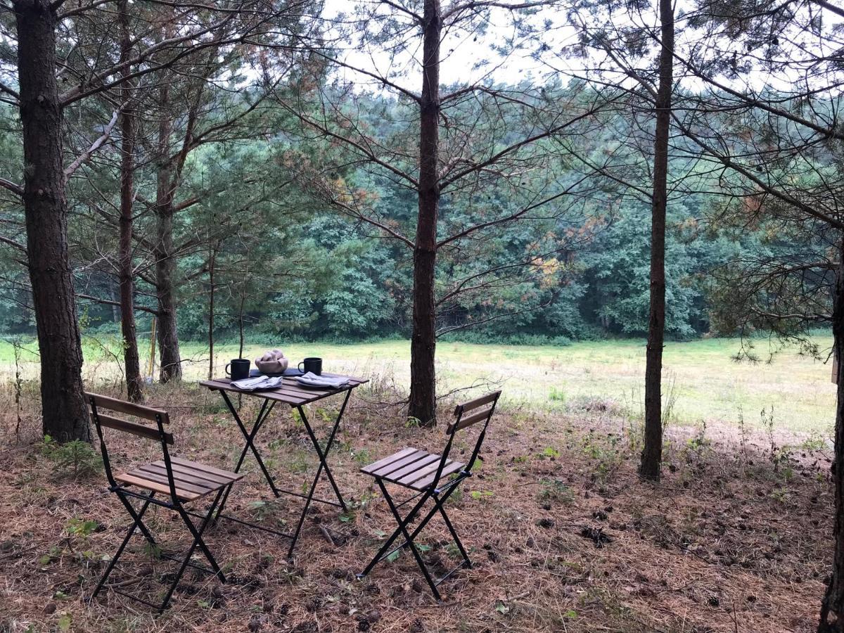 Holiday home Na Skraju Gaju