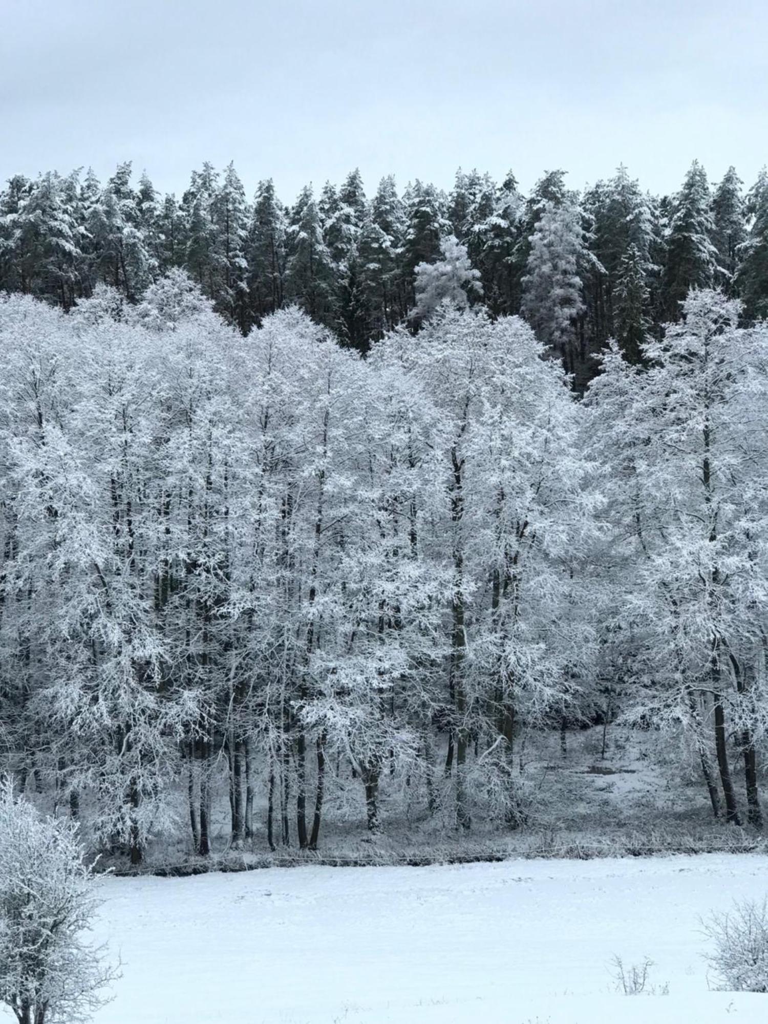 Ferienhaus Na Skraju Gaju