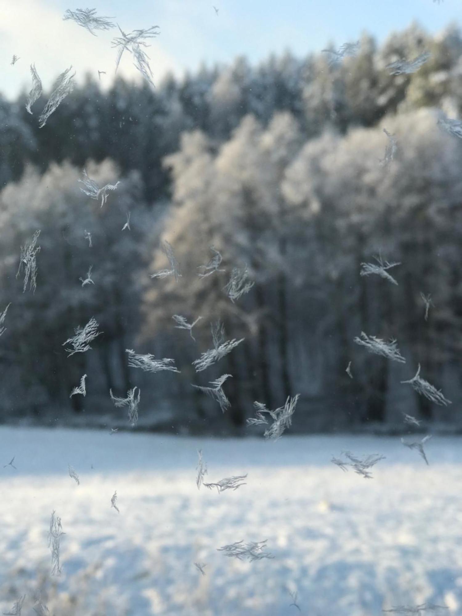 Na Skraju Gaju Ferienhaus *